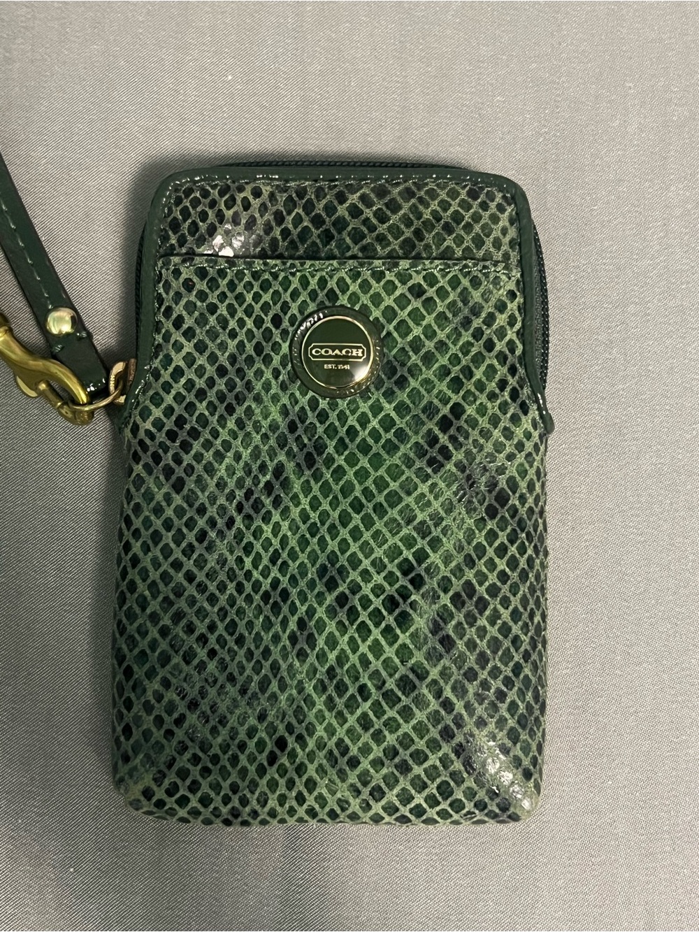 Coach Green Snake-Print Leather Wristlet Pouch with Gold Accent